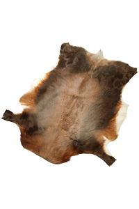 <ELLE SHOP> AMERICAN RAG CIE アメリカンラグ シー 【TERGUS】NATURAL BLESBOK SKIN ブラウン