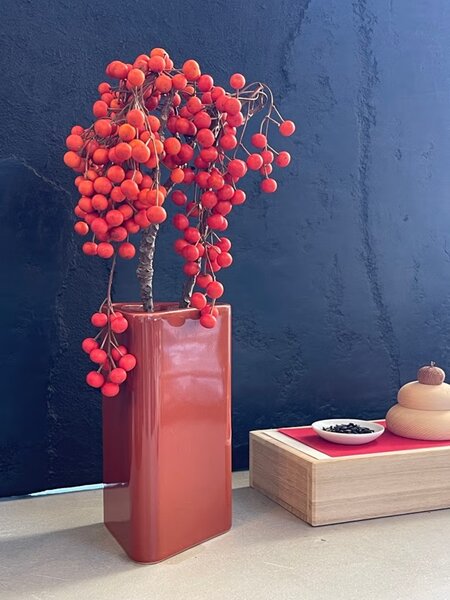 7 「ラーウィー」の“Canvas スモール ベース”