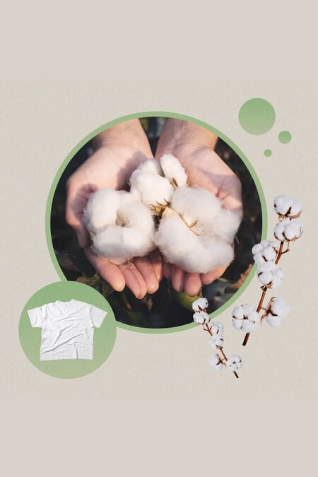 ORGANIC FIELD®（オーガニックフィールド）