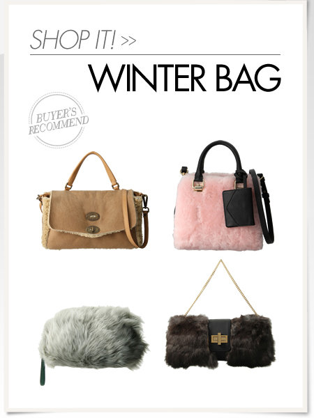 Winter Bag