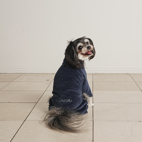 NEWアイテム、ドッグウェアが初登場！