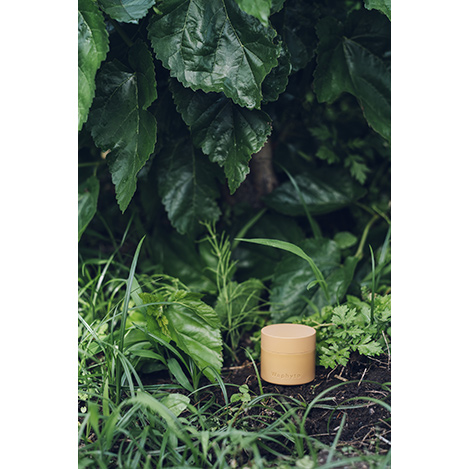 植物の恵みで満たし、保護するフェイシャルクリーム