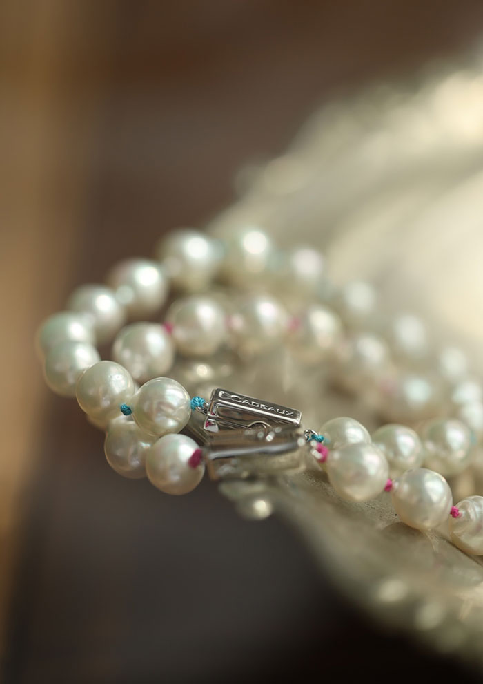 ELLE SHOP MAIL 2025.11.14