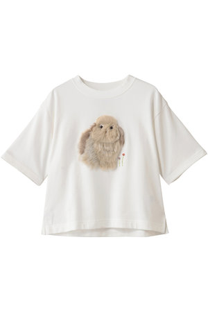 【新品、未使用】ミュベール　Tシャツ36 AZUL BY MOUSSY | SBC SURF相良刺繍ファンクTシャツ (Tシャツ