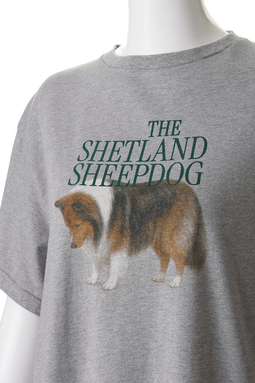 Shinzone(シンゾーン)｜THE SHETLAND SHEEPDOG Tシャツ/グレー の通販