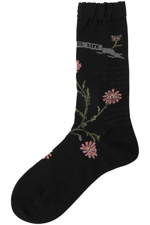 アンティパスト/ANTIPASTのマーガレットソックス