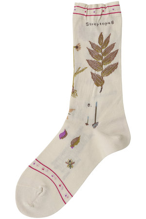 アンティパスト/ANTIPASTのボタニカルソックス