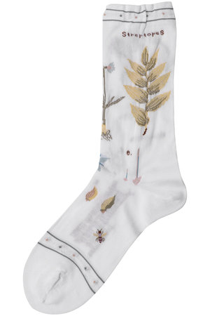 アンティパスト/ANTIPASTのボタニカルソックス