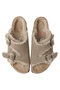 Zurich(Suede Shearing) ビルケンシュトック/BIRKENSTOCK トープ