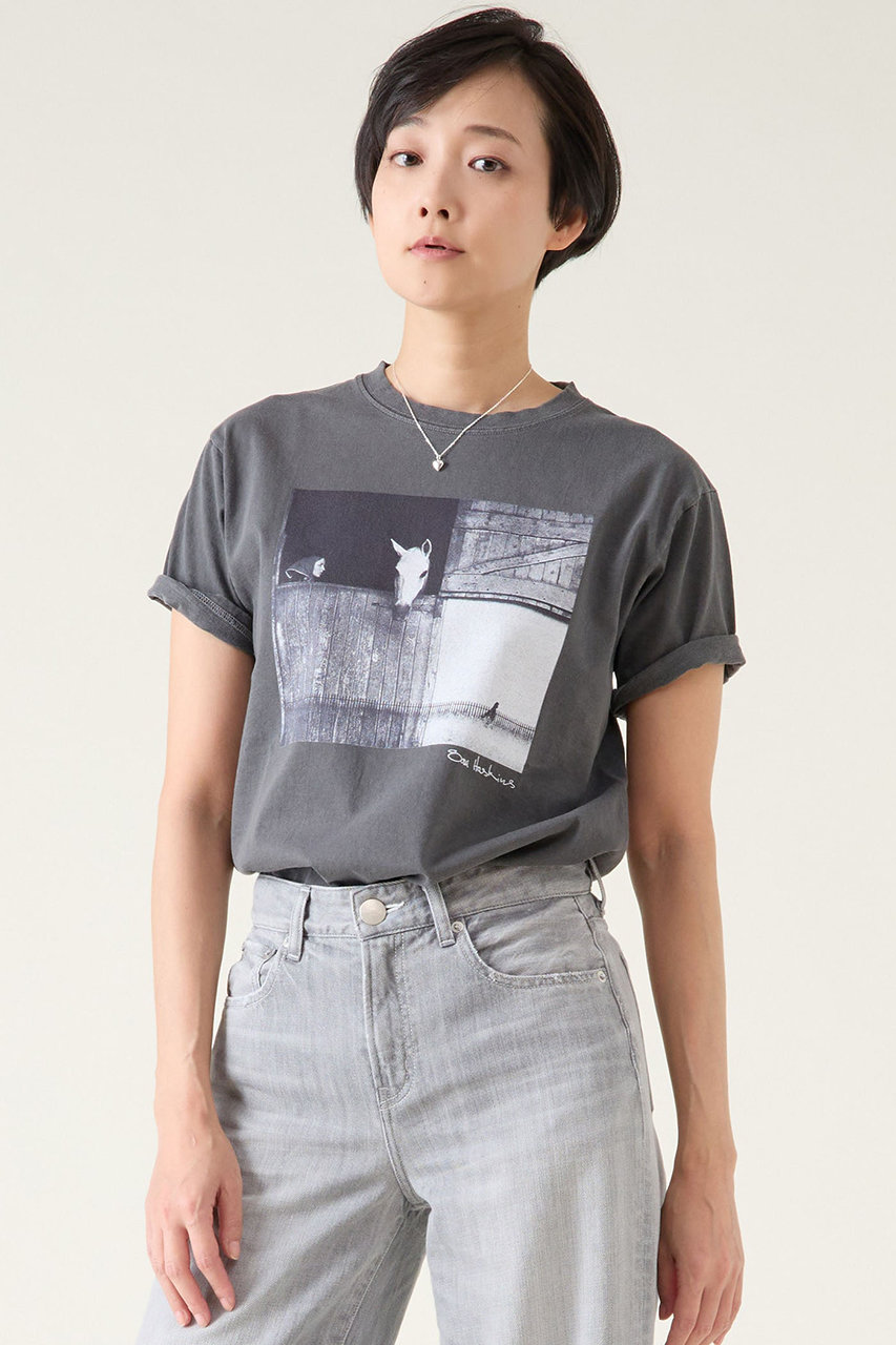 martinique 《別注》【COUTURE D'ADAM】Sam Haskins/Horse Tシャツ (ブラック, 2(40)) マルティニーク ELLE SHOP martinique 《別注》【COUTURE D'ADAM】Sam Haskins/Horse Tシャツ (ブラック, 2(40)) マルティニーク ELLE SHOP