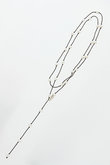 【TEINTE】CALLA WHITE PEARL CORD ロングネックレス
