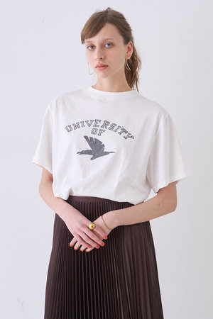 デザインワークス/DESIGNWORKSの【REMI RELIEF】別注ロゴTシャツ LW加工(UNIVERSITY)(110100/110102)