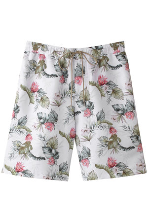 レイール(ﾐｽﾞｷﾞ)/Reir(水着)の【MEN】Proteaパンツ(180400/180402)