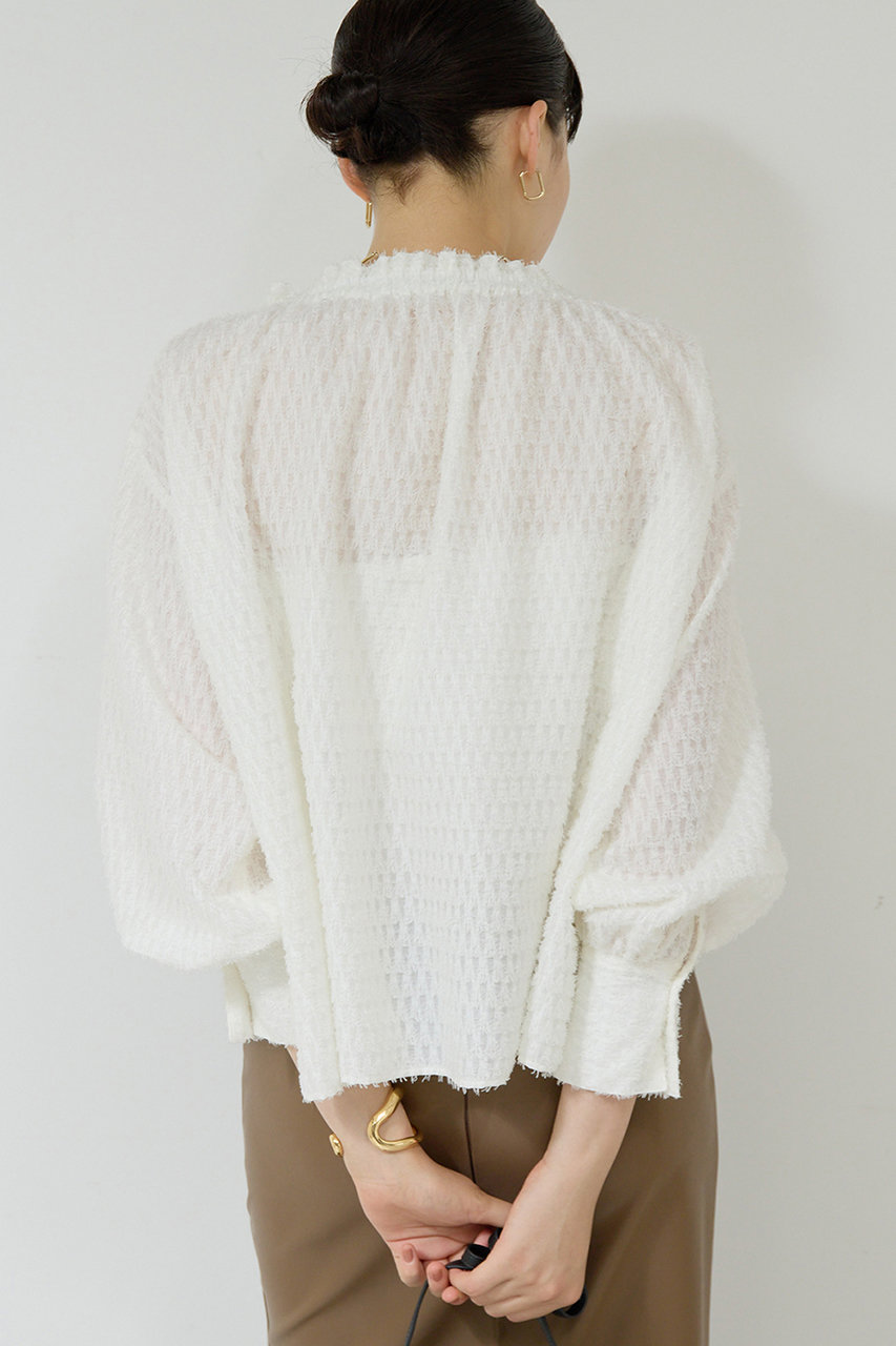 どんぐりガリャルダ GALLARDAGALANTE(ガリャルダガランテ)｜チドリジャガード