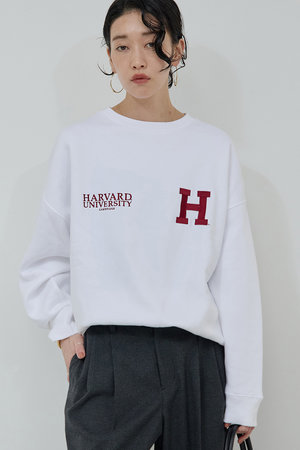 ガリャルダガランテ/GALLARDAGALANTEの【GOOD ROCK SPEED】HARVARDスウェット(110100/110105)