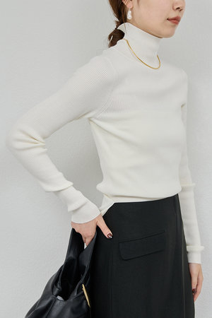 ベーシックタートル