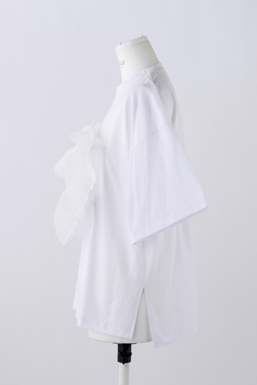 ENFOLD ホワイトTシャツ 38 WING-SLEEVES PULLOVER(38 WHT): ENFOLD: WOMENS｜THE TOKYO