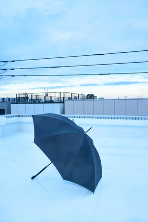 エンフォルド/ENFOLDのStick Umbrella/傘(149900/149901)