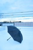 Stick Umbrella/傘
