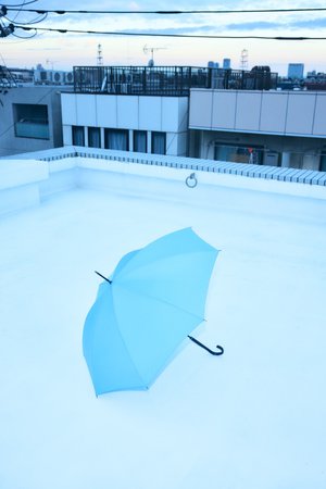 エンフォルド/ENFOLDのStick Umbrella/傘(149900/149901)