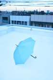 Stick Umbrella/傘