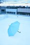 Stick Umbrella/傘 エンフォルド/ENFOLD