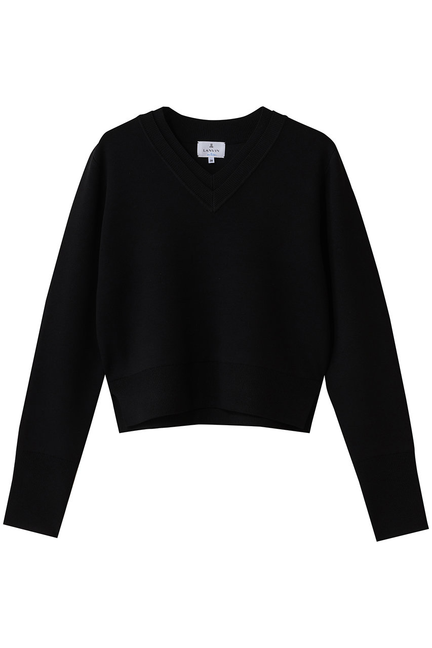 ランバン オン ブルー/LANVIN en BleuのダブルフェイスＶネックニット(ブラック/3616802)