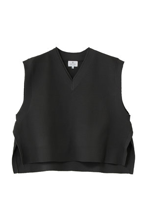 ランバン オン ブルー/LANVIN en BleuのＶネックニットベスト(110300/110301)