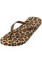 ANIMAL PRINT VII ビーチサンダル イパネマ/Ipanema