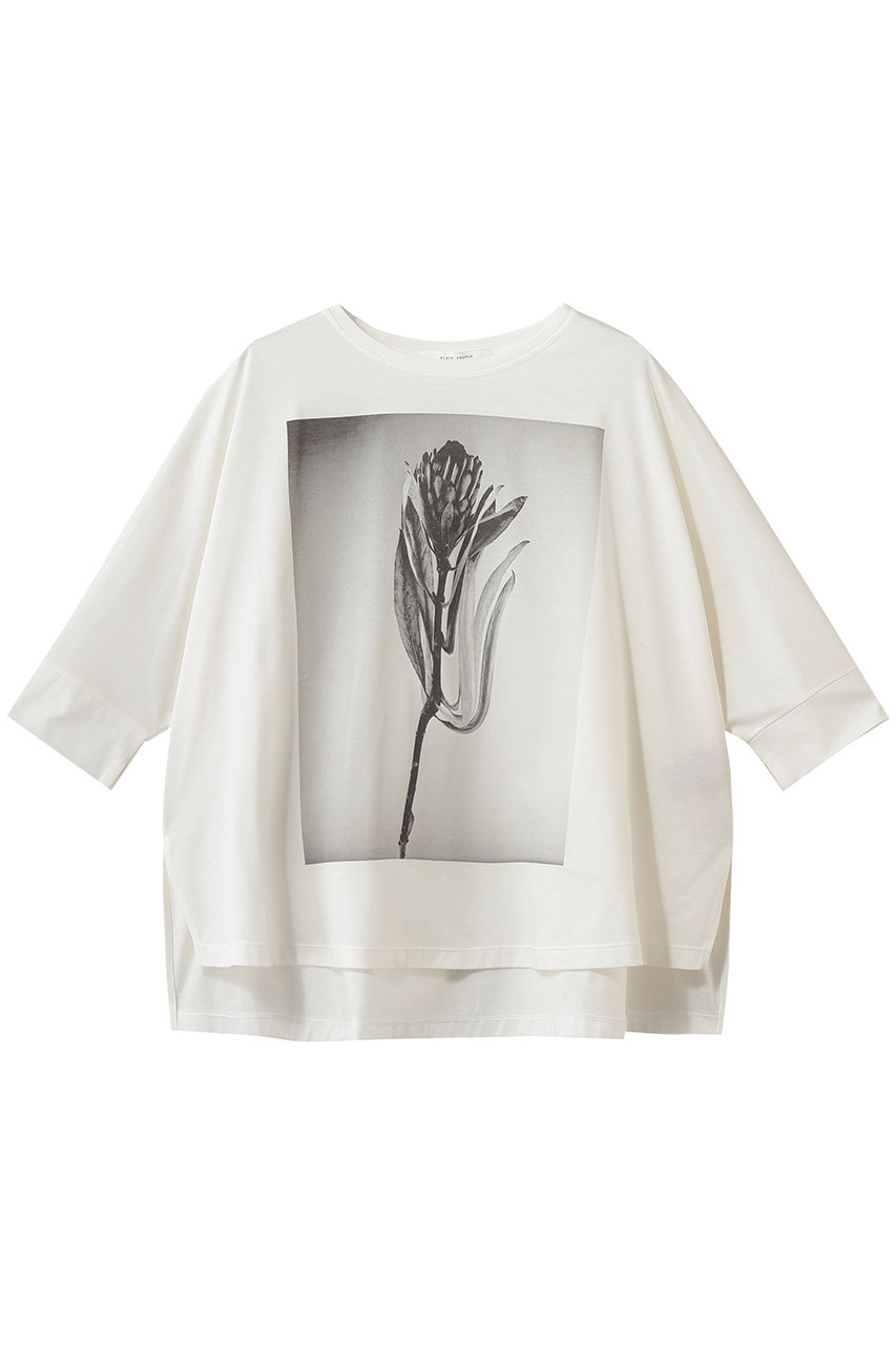 プレインピープル/PLAIN PEOPLEのプリントTシャツ(ホワイト/A1561UTS408)