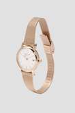 MESH BAND DATE WATCH