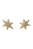 STARソロクリップ
