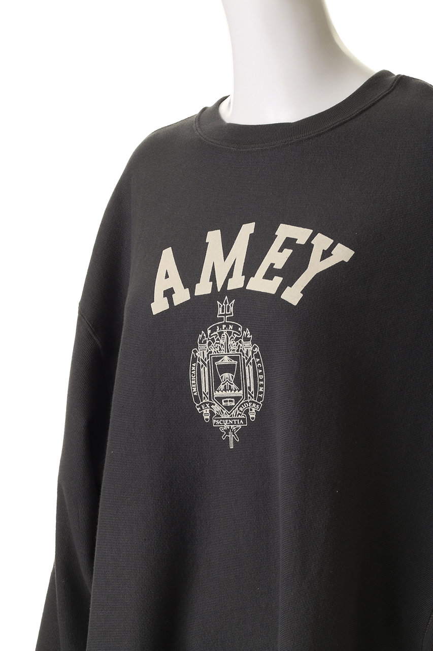 Americana スウェット AMERICANA トレーナー スウェット 「AMERICANA×ORIGINAL