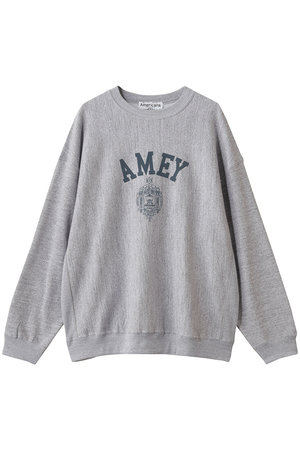 S**様 □新品秋先取り□ Americanaアメリカーナ/ パーカー〜gray AMERICANA/アメリカーナ スウェットパーカー｜フリークスストア