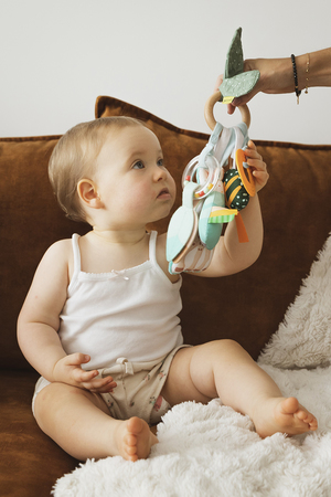 キリンのソフィー/Sophie la girafeのアクティビティーリング(200400/200402)