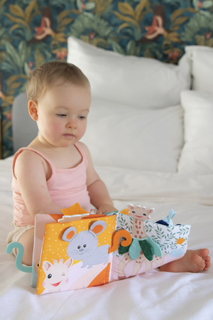 キリンのソフィー/Sophie la girafeのディスカバリーブック(200800/200805)