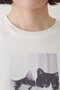 【Drawing Numbers】キャットTシャツ ウィム ガゼット/Whim Gazette