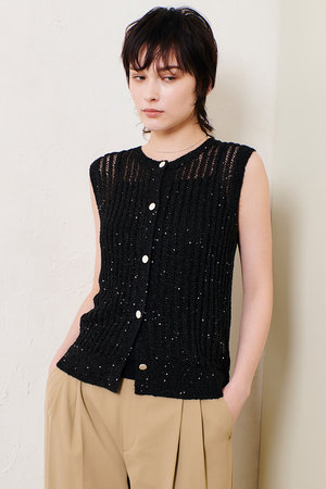 アルアバイル/allurevilleのスパンコールメッシュプルオーバー(110300/110301)