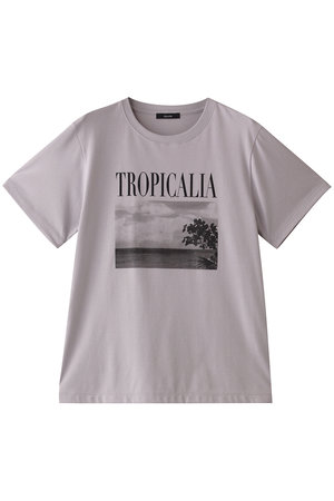 ◇箔ロゴTEE|allureville OFFICIAL SITE / ONLINE SHOP