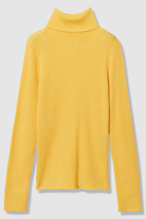 アルアバイル/allurevilleの【予約販売】2WAY NCリブタートル(110300/110301)