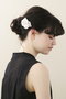 BARRETTE (6cm)/バレッタ アレクサンドル ドゥ パリ/ALEXANDRE DE PARIS