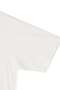 Ｙ / ORGANIC COTTON JERSEY MOCK NECK SHORT SLEEVE T-SHIRT イレーヴ/YLEVE