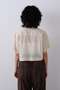 YLEVE / COTTON VOILE LAWN SHORT SLEEVE SHIRT イレーヴ/YLEVE