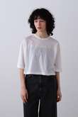 YLEVE / COTTON SHEER JERSEY SHORT SLEEVE