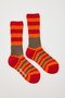 Border Socks/ソックス ナゴンスタンス/nagonstans Orange