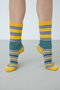 Border Socks/ソックス ナゴンスタンス/nagonstans