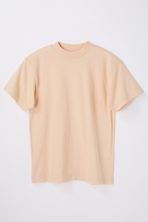 ナゴンスタンス/nagonstansのソフト天竺 Stand daily T/SH Tシャツ(110100/110102)