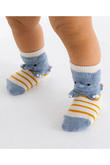 【BABY】【POP UP SOX】ぞう