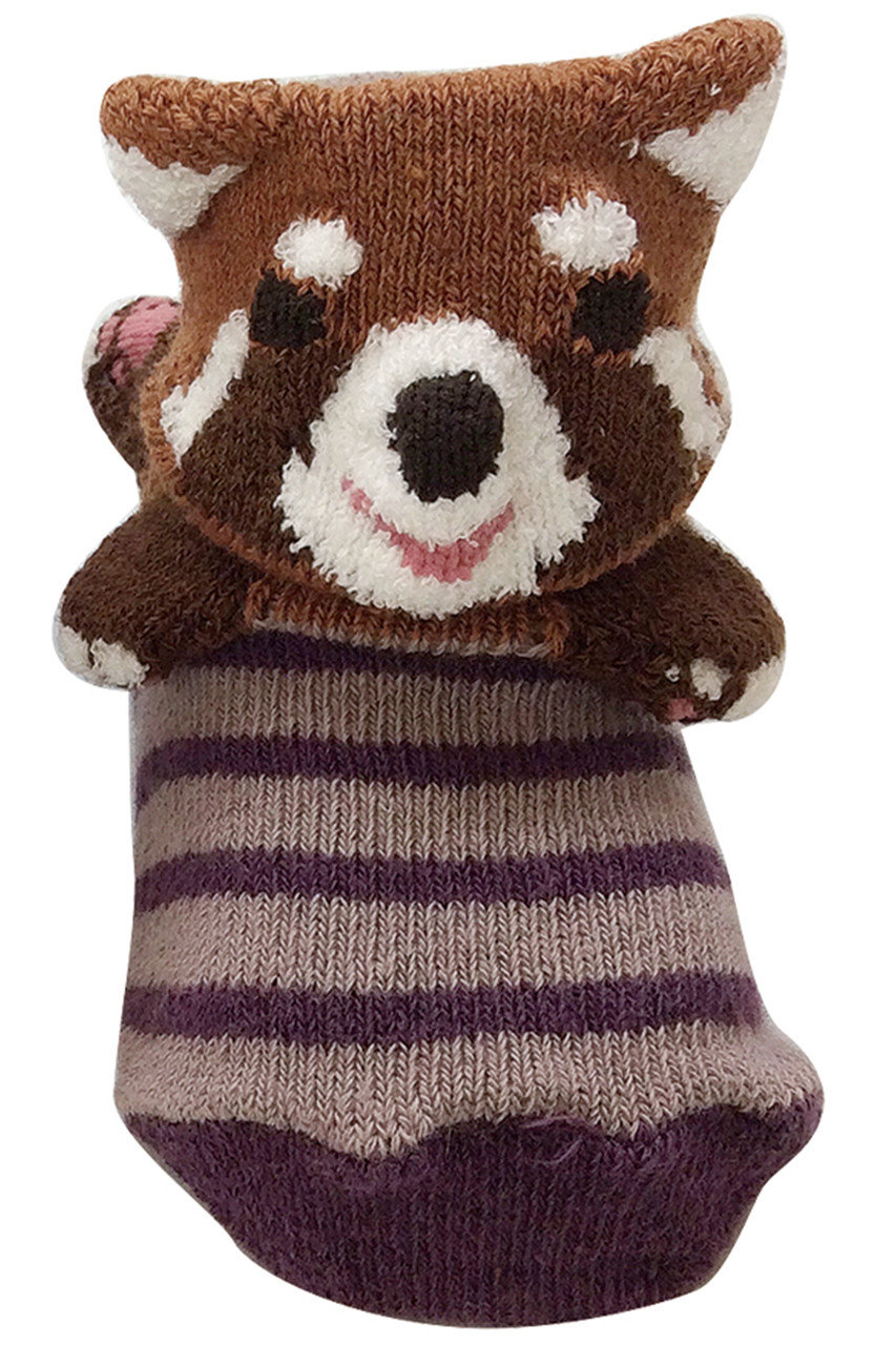ポプキンズ/POMPKINSの【BABY】【POP UP SOX】レッサーパンダ(パープル/1212253)