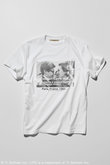【美品✨】Curensology 別注SLTシャツ(ヨコ) Curensology｜【LIFE PICTURE COLLECTION】別注SLTシャツ(ヨコ